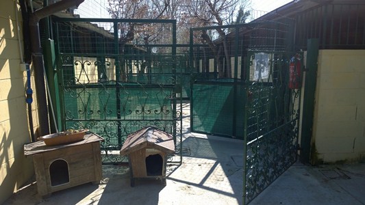 Associazione Canili Milano Onlus